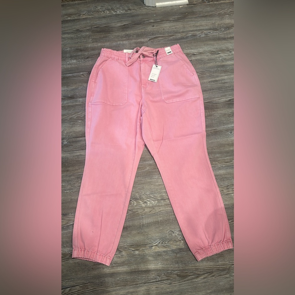 judy blue joggers